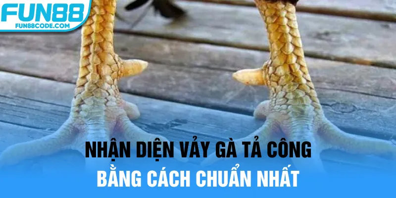 Nhận diện vảy gà Tả Công bằng cách chuẩn nhất
