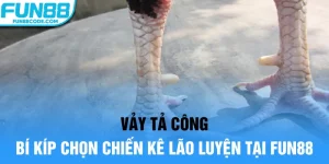 vảy tả công