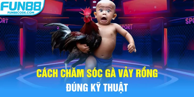 Cách chăm sóc gà vảy rồng đúng kỹ thuật