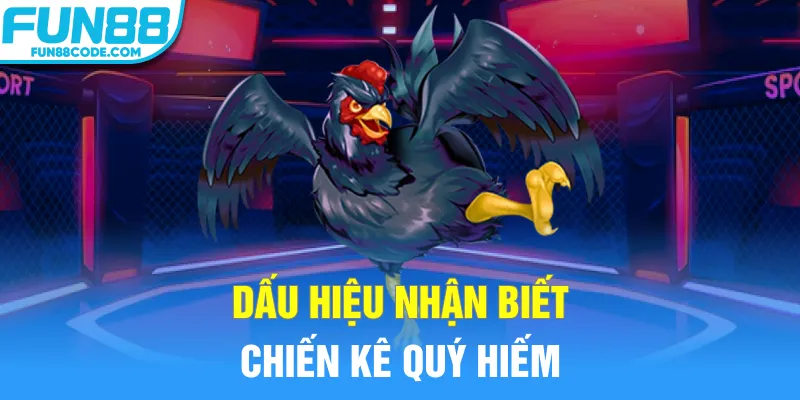 Dấu hiệu nhận biết chiến kê quý hiếm